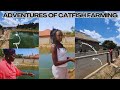 Fish Farm Fiasco: Tackling Foul Water & Grading Catfish | Real-Life Aquaculture Adventure