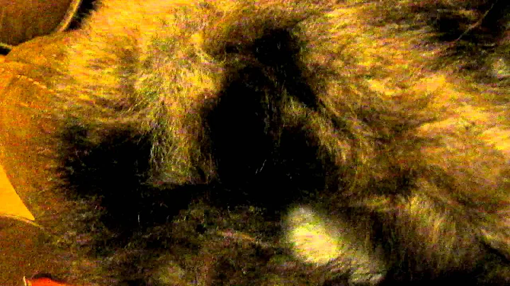 SHEEPSKIN SLIPPERS, BOOTS