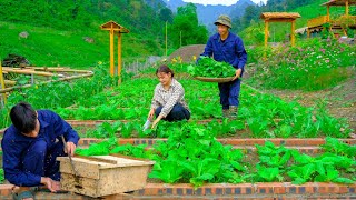 Harvest vegetables and bring to the market to sell, pack wooden crates to raise honey bees, farm