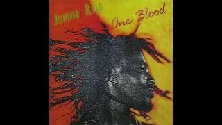 Junior Reid - One Blood [Audio]