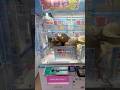 ☆超デカいくまさんのぬいぐるみをゲットしてみた!☆#ufoキャッチャー #クレーンゲーム #clawmachine #인형뽑기 #夾娃娃機 #shortsvideo #shorts