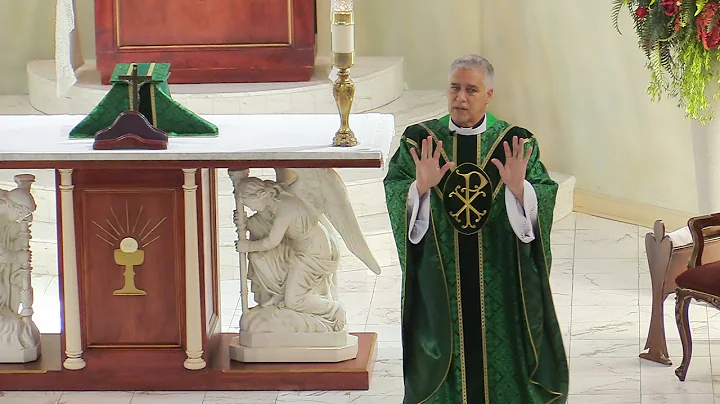 Father Mark Beard's Final Homily - "On the Fence" - 17th Sunday in Ordinary Time, Year A