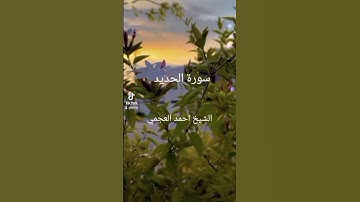 من سورة الحديد #viralvideo #اكسبلور #cupcut #القرآن_الكريم #duet #fypシ 🌿🤍🤲