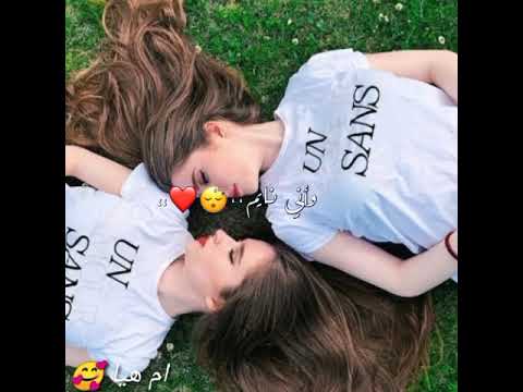 حالات واتس اب اغنيه سيف نبيل ممكن تدخل قلبي