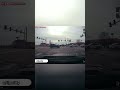 Honda Driver's Risky Left Turn Causes Traffic Chaos! #shorts