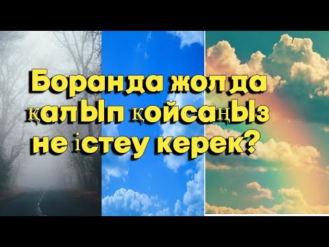 Бейне: Қарлы боран неге қауіпті?