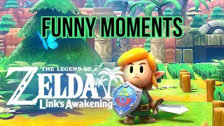 Link's Awakening Funny Moments