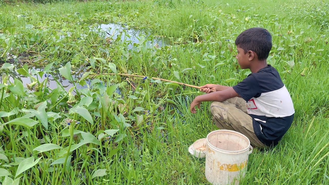 Best Fishing Video 2023 | Village Small Boy Catch Fish by Hook From ...