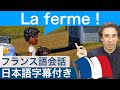 フランス語会話 1分の短い話　「農場」日常的会話