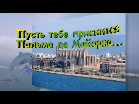 Шуфутинский пусть тебе приснится пальма. Пусть приснится Пальма де Майорка. Пусть тебе приснится Пальма-де-Майорка картинки. Пусть тебе приснятся пальмы на Майорке. Пусть тебе приснится Пальма де.