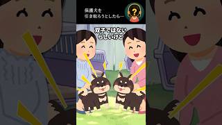 保護犬を引き取ろうとしたら…