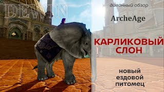 Archeage 5.7: Карликовый слон