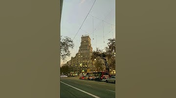 سورة الإخلاص 🌿قرآن كريم 🌿القارئ ماهر المعيقلي