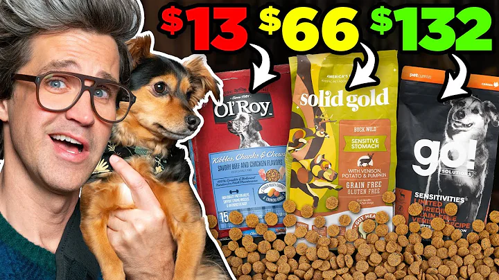 Is Expensive Dog Food Worth It? - DayDayNews