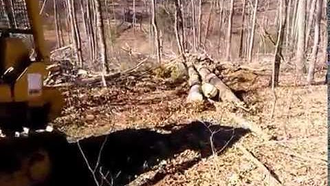 D6 CAT DOZER PULLING LOGS AND LOGGING