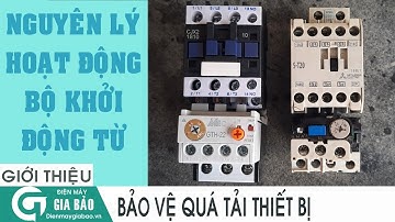 Hướng dẫn đấu nối khởi động từ 3 pha và nguyên tắc bảo vệ quá tải khi xảy ra sự cố