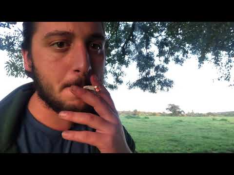 Sunset smoke sesh