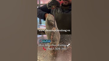 Máy Cưa Xương Cắt Thịt Cá Đông Lạnh ALPHA | Điện Máy Thiên Long📞0967.309.345