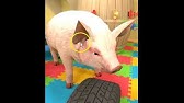 Slide Princess Full Walkthrough Youtube