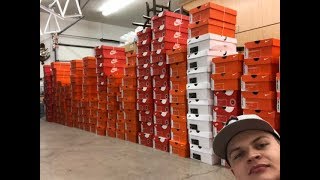 I Bought 207 Pairs of Nike Shoes to Sell on Amazon FBA
