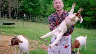 Download lagu Farm Chores with Matt Mathews | Farm Life | Farm Chores