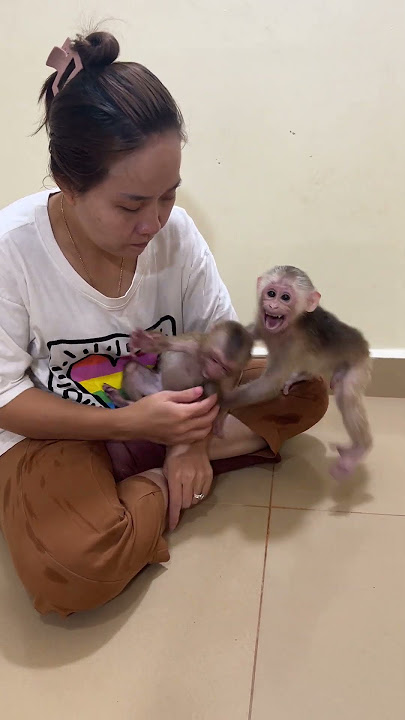 PavPav Jealous Baby Titas