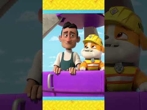 Rubble rides a ferris wheel! 🎡 #shorts