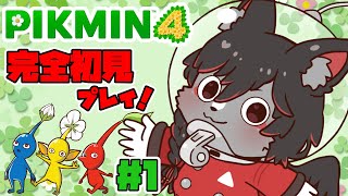 【ピクミン４】今更始める初見攻略！#1【ケモV】
