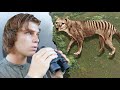 The tasmanian tiger thylacine is still alive documentary pt1