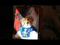 Pet painting/ slow evening