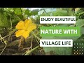 Enjoy beautiful nature with village life