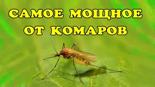 От комаров, мошек и клещей МОЩНАЯ ЗАЩИТА.