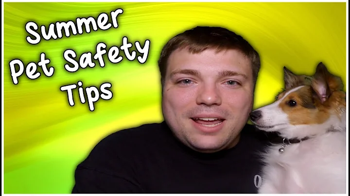 Summer Pet Safety Tips - Keep your Puppy Safe in the Heat - MumblesVideos