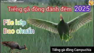 Tiếng gà đồng, cúm núm đánh đêm mới nhất 2025 (1)