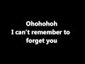 Can't Remember To Forget You With Lyrics Shakira Ft Rihanna
