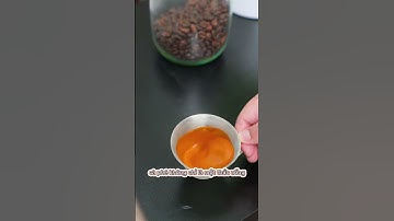 Người bạn mỗi sáng thức giấc của mình chính là Máy pha cafe Winci EM56 #winci #wincivietnam #em56