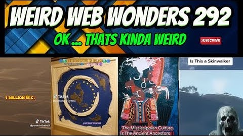 weird web wonders 292