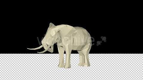 Low Poly 3D Elephant | Motion Graphics - Envato elements