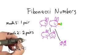 FIBONACCI SEQUENCE - BUNNIES - Easy understanding of Fibonacci number - How it works.