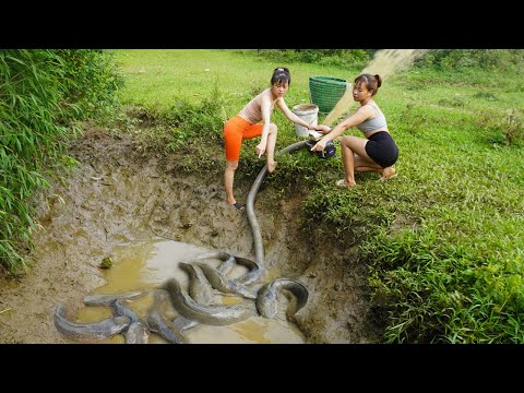 Fishing Technology - Harvesting Fish, Catch Many Fish In Mud Wild Lake With A Large Pump Sucks Water