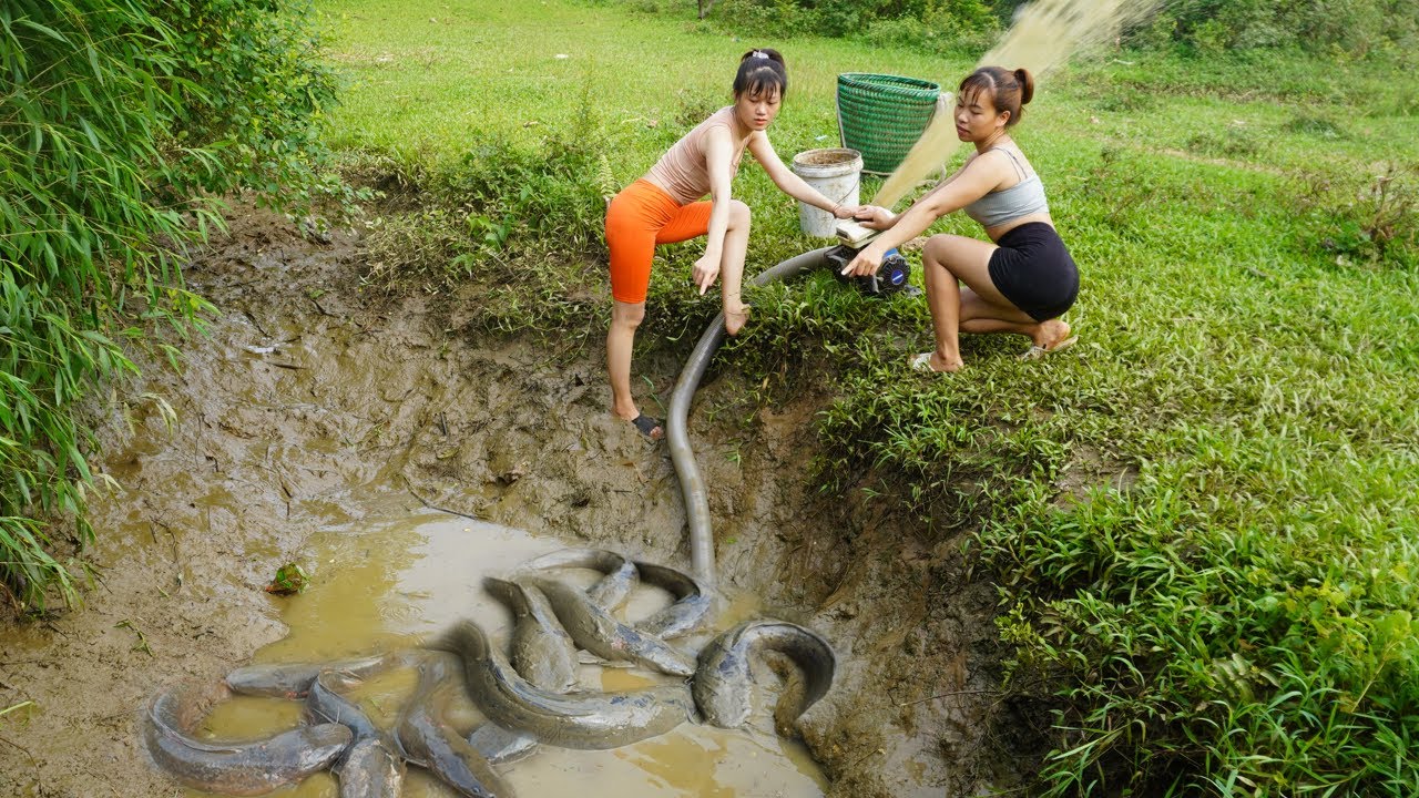 Fishing Technology - Harvesting Fish, Catch Many Fish In Mud Wild Lake ...
