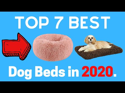top-7-best-dog-beds-2020-|-amazon-best-selling-pet-products