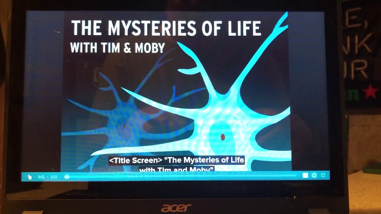 Nervous System BrainPop YouTube nervous-system-brainpop-youtube