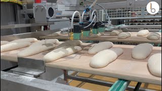 Automatic Dough Scoring Machine | Cortador de Masas Automático - Beor