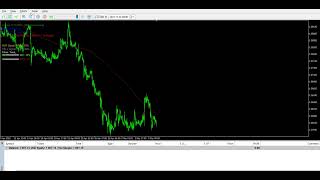 Pin Bar Pro Bot MT5 Backtest   3 Wealth