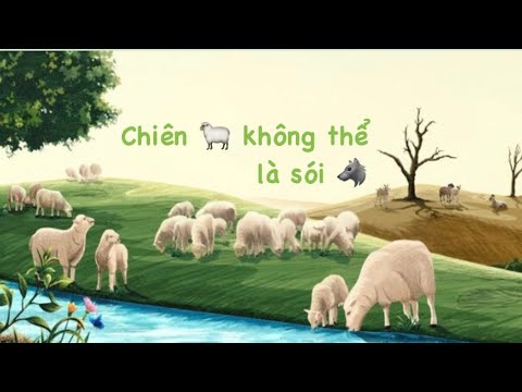 🌾 CHIÊN 🐑 KHÔNG THỂ ❌ LÀ SÓI 🐺 | Chuỗi GH - bài 0️⃣7️⃣