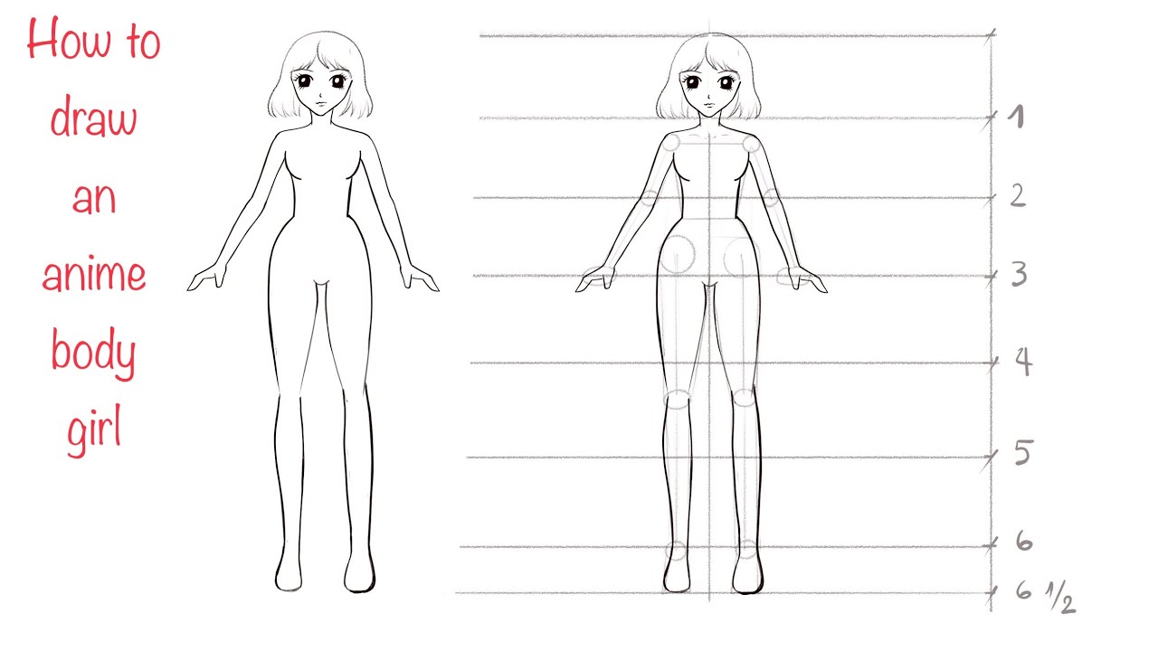 How to Draw an Anime Body