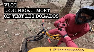 Nouvelle Manitou Dorado - Le Junior Proche De La Mort