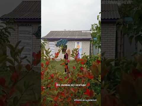 ДОЩИК 🌧️•☔ #дощик #дощ #теплийдощик #вірш #вірші #автор #поезія #творчість #україна #піддощем #rein