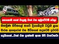 කොහොඹ ගහේ වැදුණු වෑන් එක කුඩුපට්ටම් වෙලා | දියබෙදුම ටවුම ළඟ මාරක අනතුරෙන් එක ජීවිතයක් සදහටම ඉවරයි